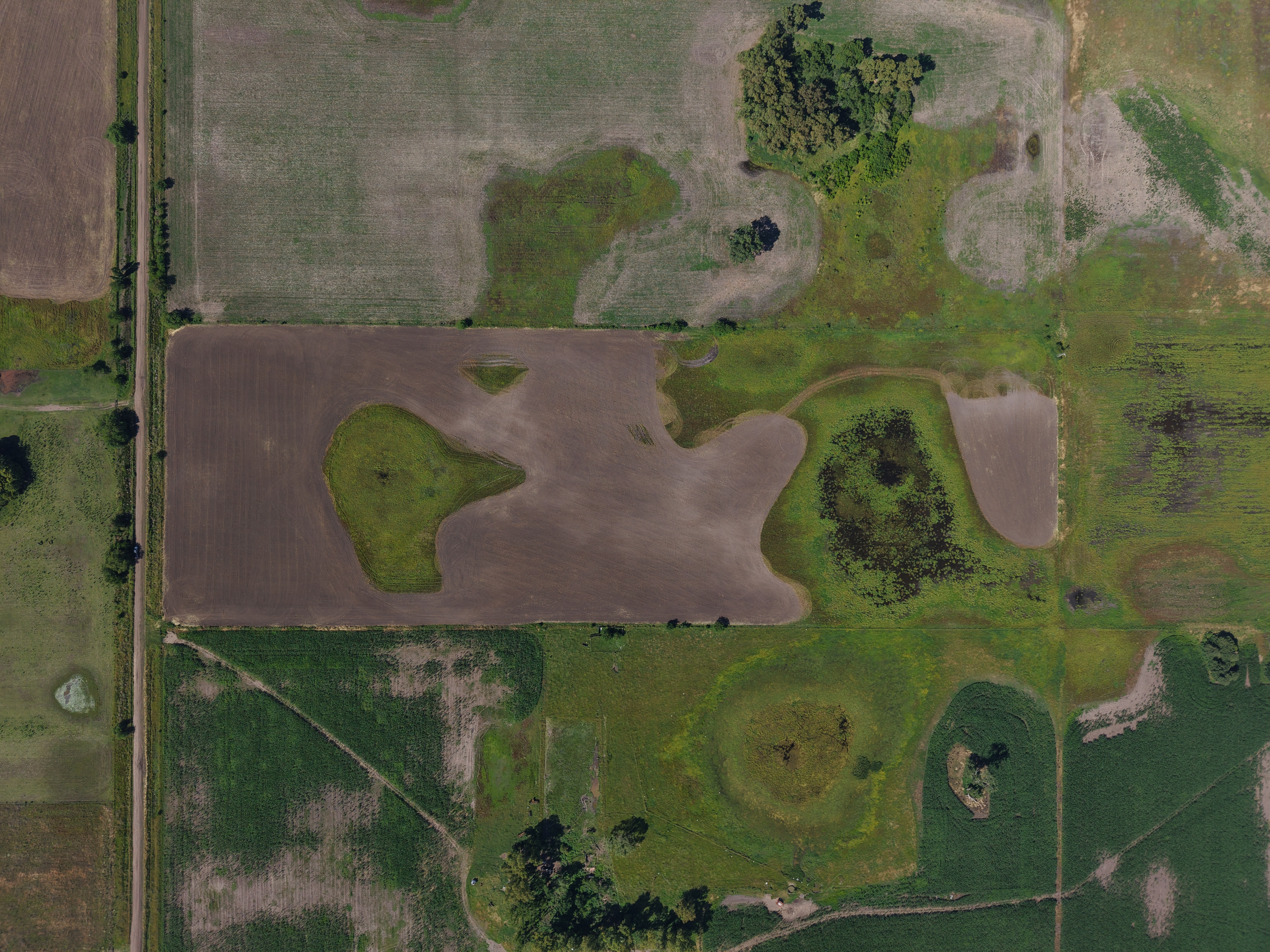 10 hectáreas - Saladillo, Buenos Aires.