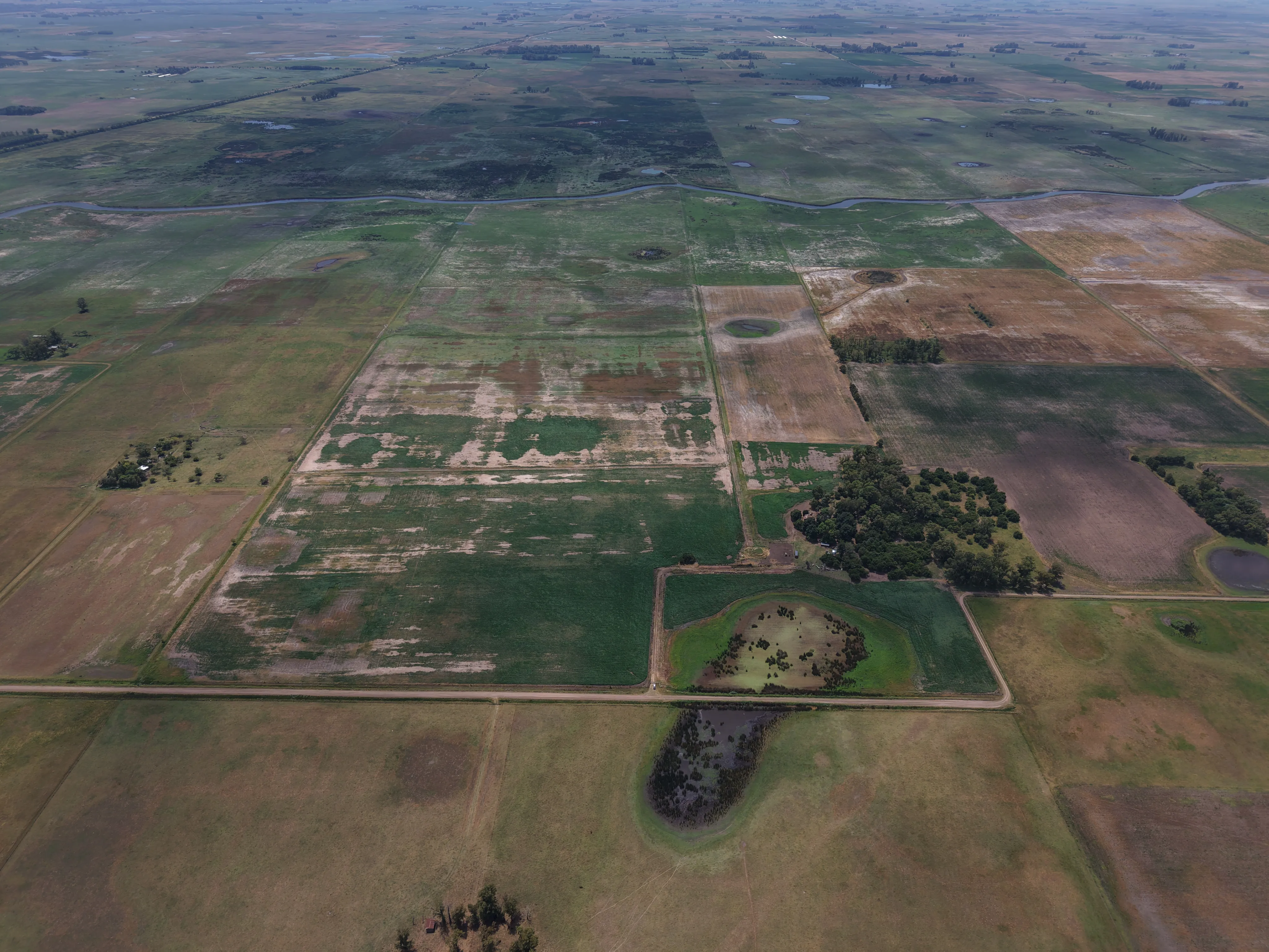 119 hectáreas mixtas - Del Carril, Saladillo, Buenos Aires.